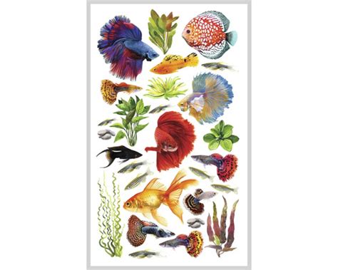 Ilustrácia rôznych druhov rýb
