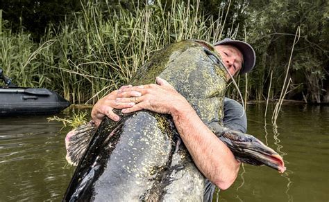 Šťastný rybár s rekordným sumcom