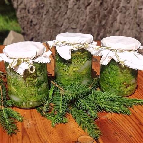 Štruktúra vrstvenia smrekových výhonkov a cukru v pohári