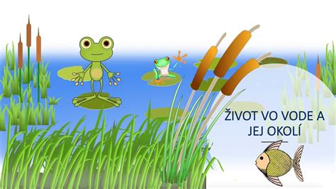 Obrázok rýb a žaby v potoku