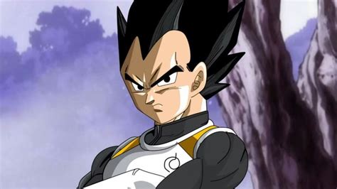 História a zloženie vegety