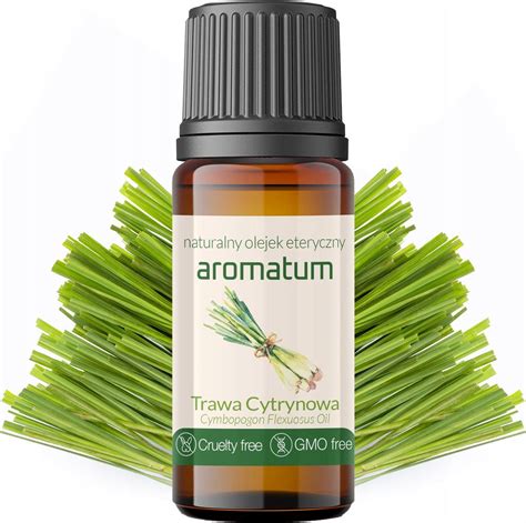 Infografika s vyobrazením rôznych použití citrónovej trávy (kuchyňa, medicína, kozmetika)