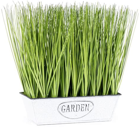 Štýlový kvetináč s citrónovou trávou na slnečnom parapete