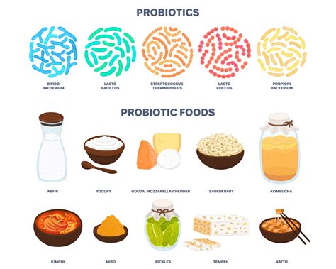Probiotiká v jogurte