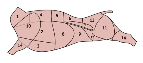 Schematické znázornenie delenia hovädzieho mäsa